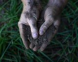 Terroir Explorers Subscription
